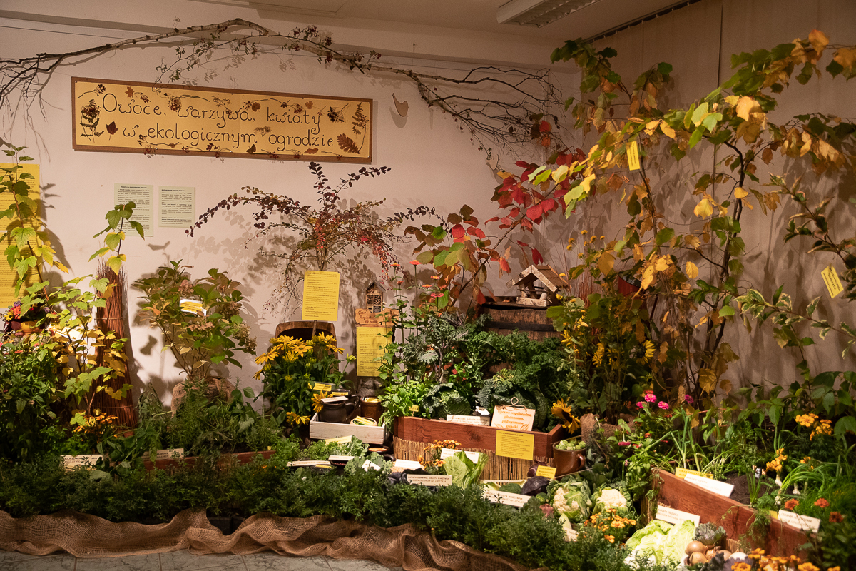 Do niedzieli 10 października w łódzkim Ogrodzie Botanicznym można oglądać wystawę "Owoce, warzywa, kwiaty"