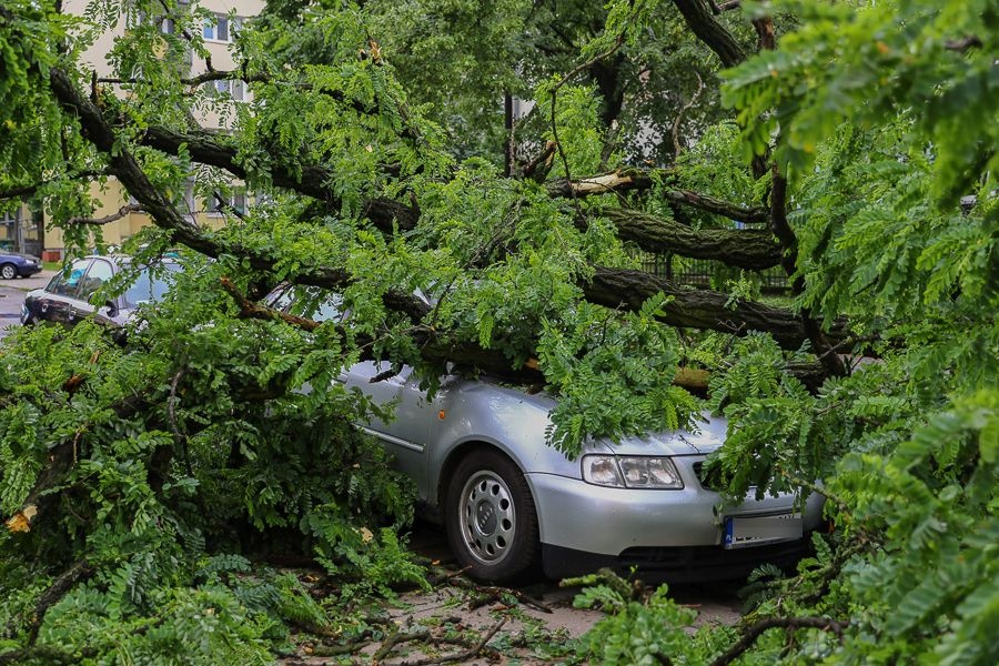 Burza nad Łodzią. Zalane ulice, powalone drzewa, setki interwencji straży pożarnej [zdjęcia] - Zdjęcie główne