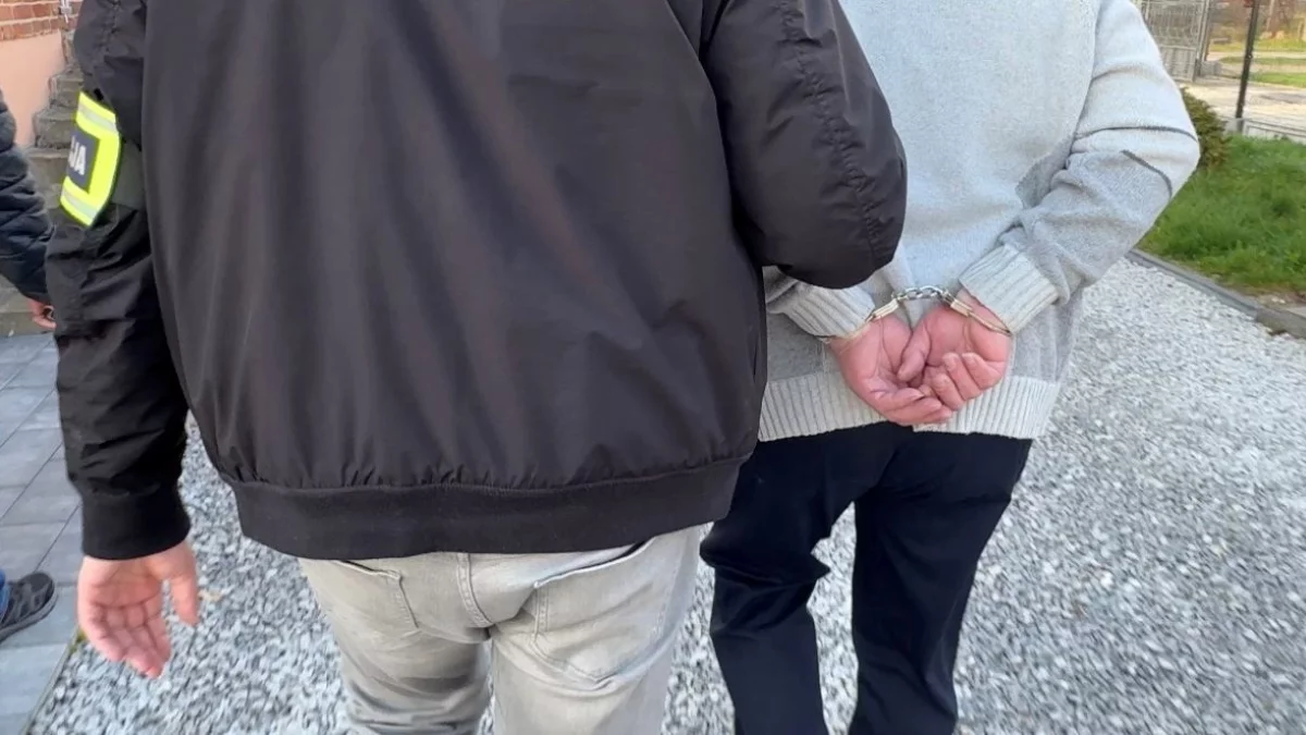 Diagnosta zatrzymany. Fałszywe badania techniczne aut w Łódzkiem [FILM]