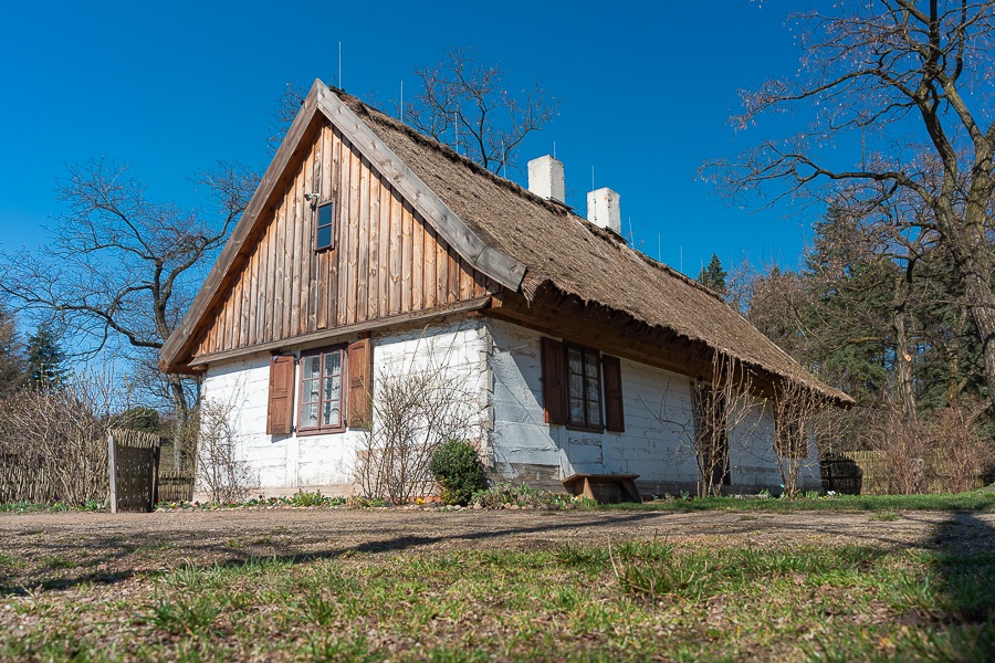 Ogród Botaniczny w Łodzi znowu otwarty  (fot. Michał Pietrzak - TuLodz.pl) |wiadomości łódzkie|łódź|TuŁódź