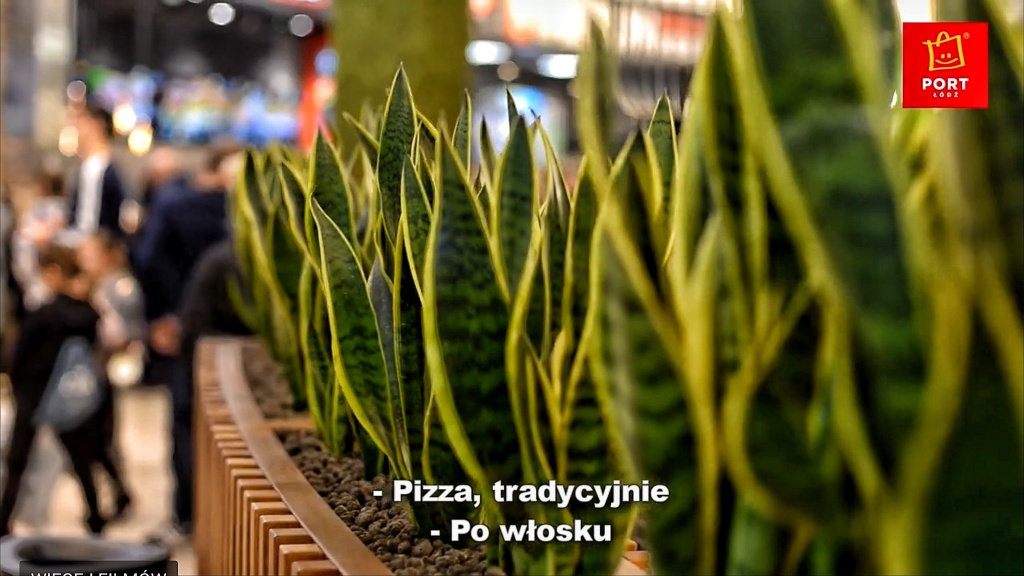 Nowe przestrzenie restauracyjne w Porcie Łódź [WIDEO] - Zdjęcie główne