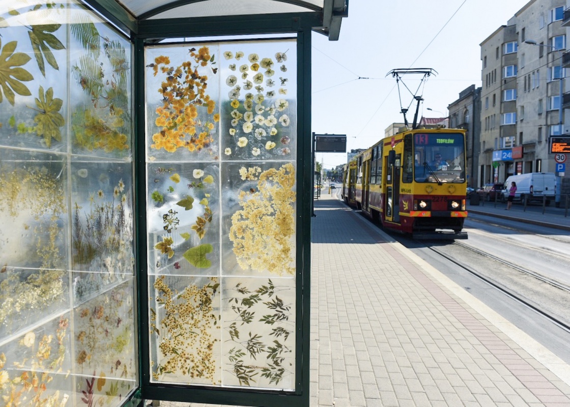 Przystanek z kwiatów przy placu Dąbrowskiego. Nowa istalacja artystyczna Łódzkiego Centrum Wydarzeń - Zdjęcie główne