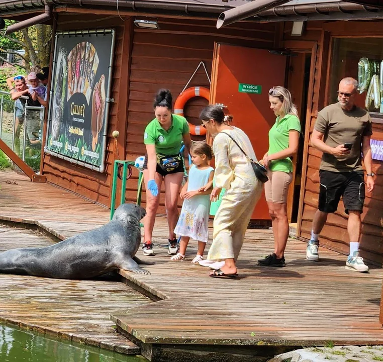 Zoo prowadzi selekcję gości? Ta decyzja oburzyła wiele osób - Zdjęcie główne