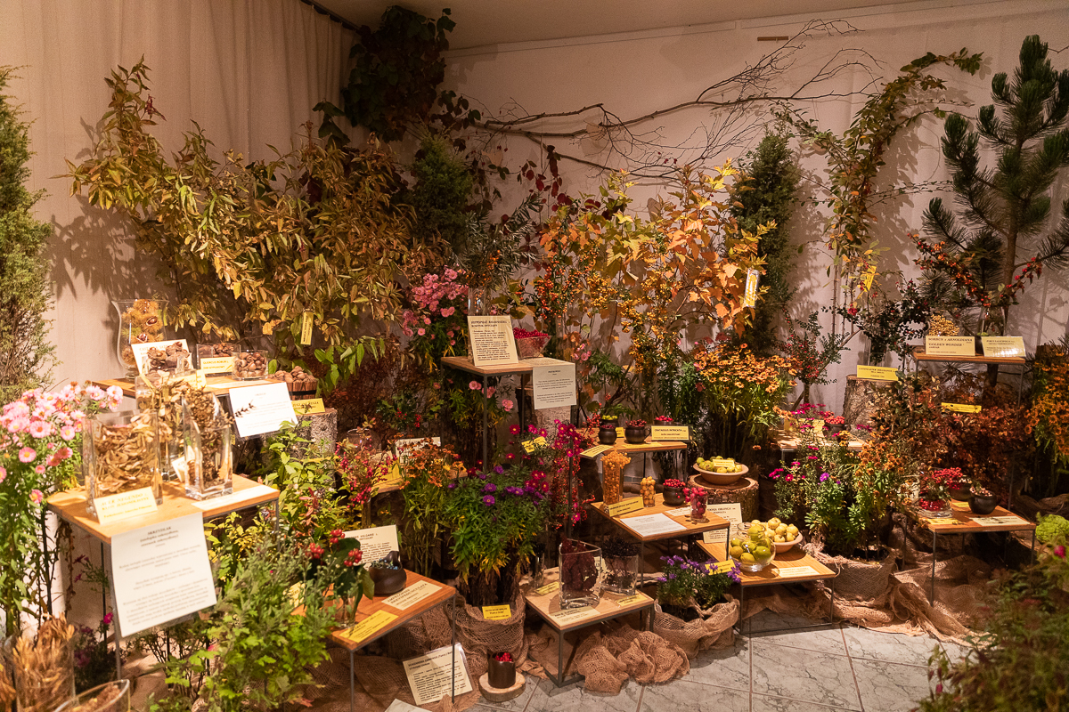 Do niedzieli 10 października w łódzkim Ogrodzie Botanicznym można oglądać wystawę "Owoce, warzywa, kwiaty"