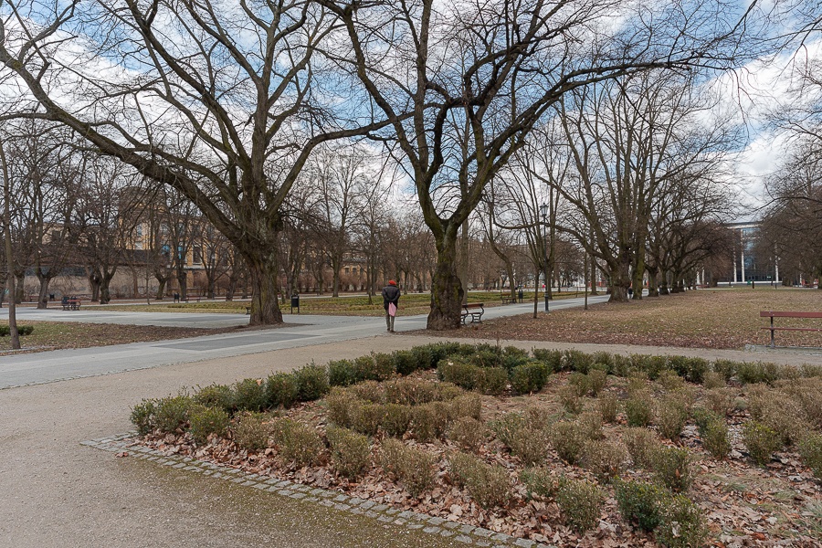 Park Poniatowskiego w Łodzi powstał w 1910 roku, a jego powierzchnia wynosi 41,6 ha. (fot. Michał Pietrzak - redakcja TuŁódź) |wiadomości łódzkie|Łódź|TuŁódź