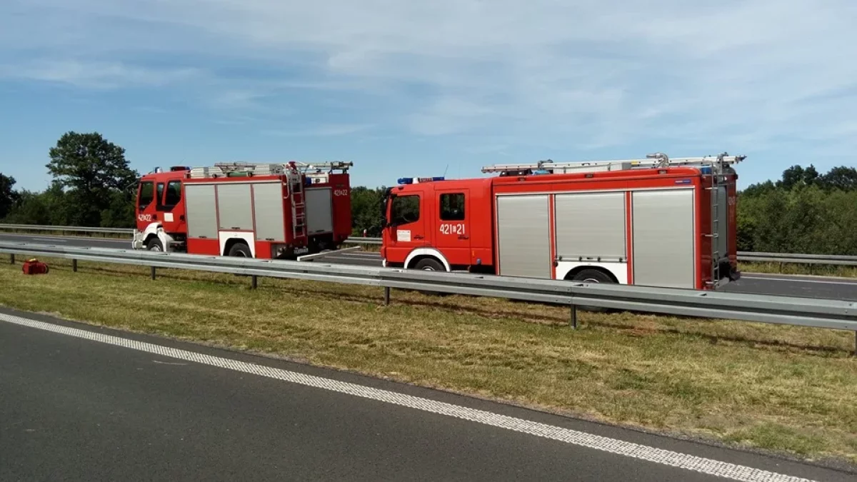 Zderzenie auta osobowego z busem na A1. Trwa akcja ratownicza [AKTUALIZACJA] - Zdjęcie główne