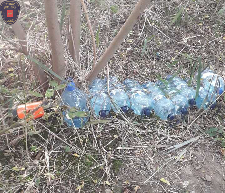 Łodzianie zaśmiecają Łódź! Czas ją w końcu posprzątać (fot. Straż Miejska w Łodzi)