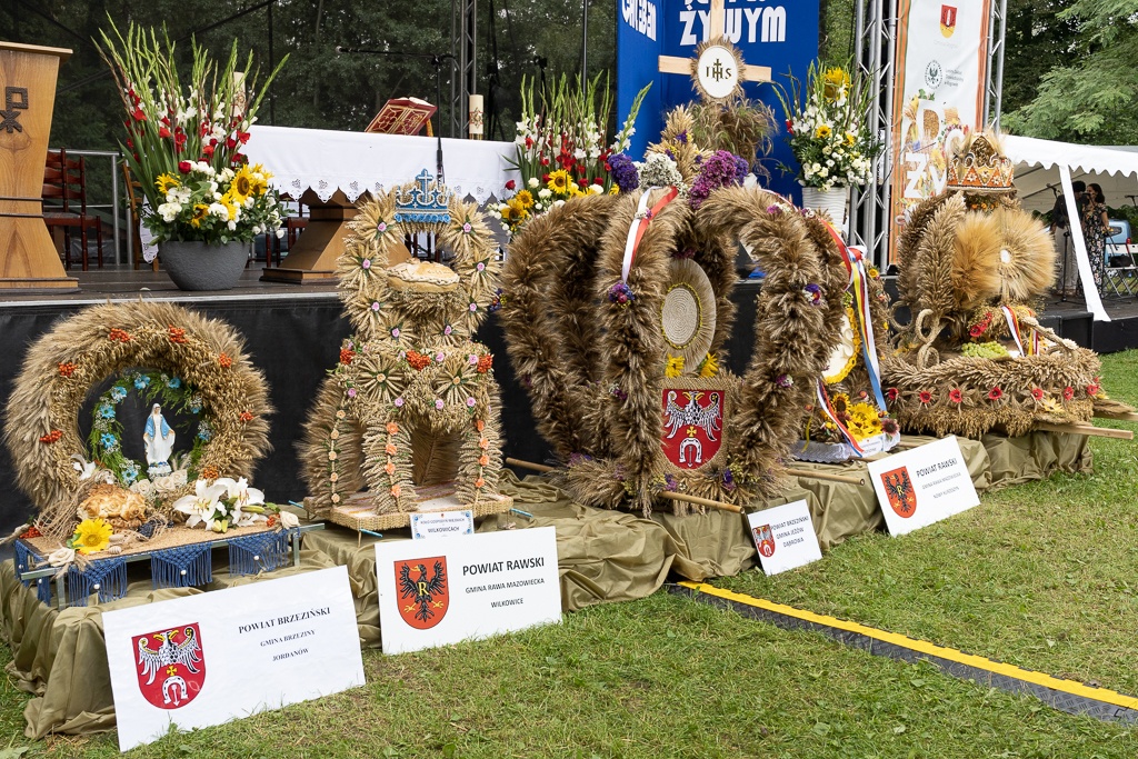 Łódzkie na plus – podsumowanie tygodnia w skrócie - Zdjęcie główne