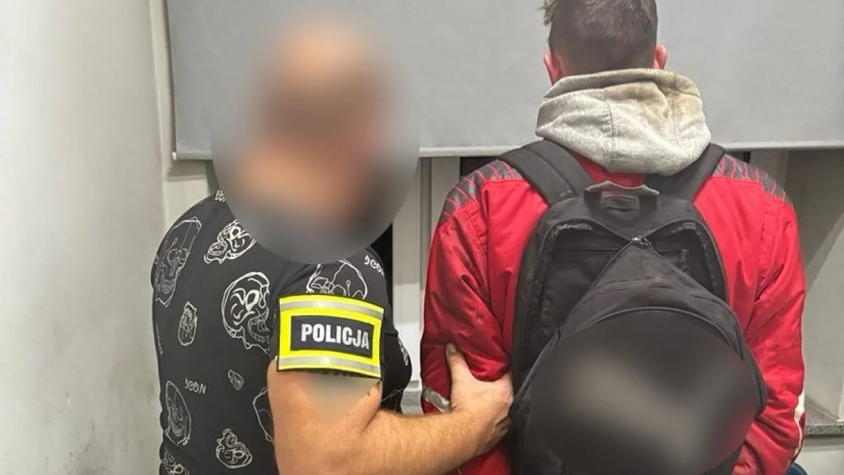 Za ściganym pojechali na Dolny Śląsk. Akcja łódzkich policjantów - Zdjęcie główne