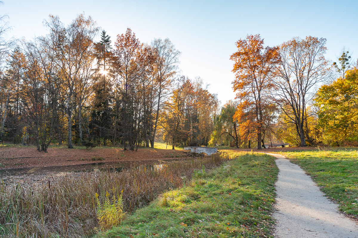 Łódzki park na Zdrowiu zachwyca jesienią