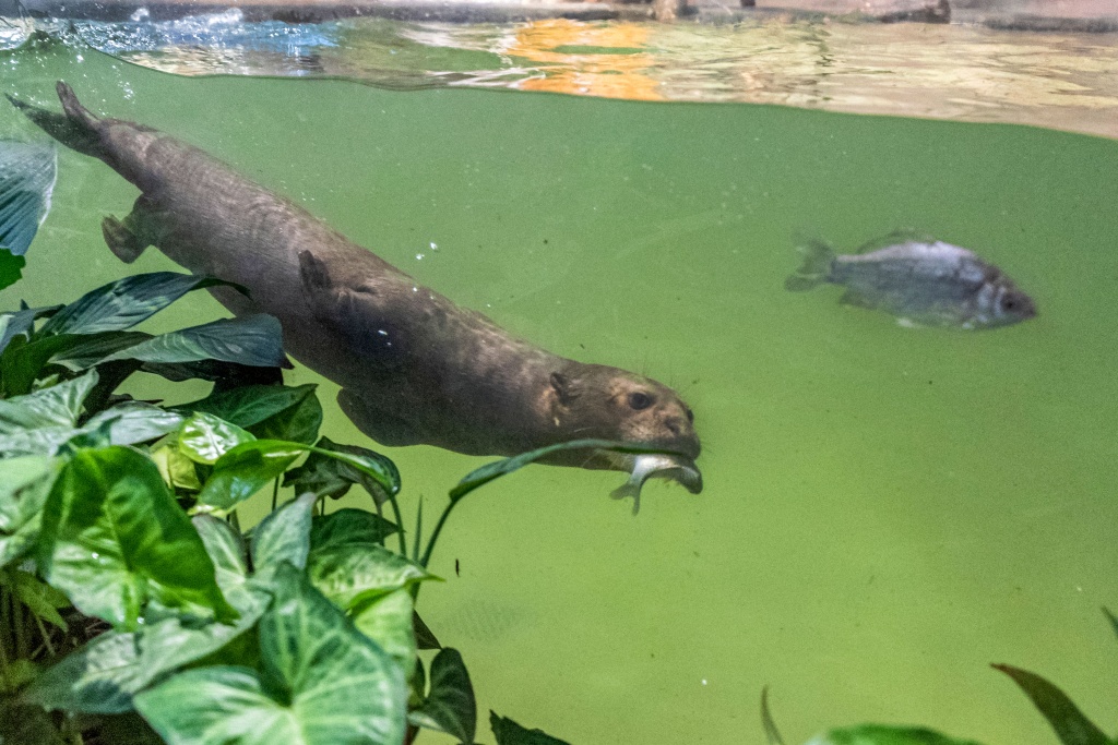 Dzień Dziecka w Łodzi. Łódzkie instytucje przygotowały wiele atrakcji z myślą o najmłodszych (fot. UMŁ) |wiadomości łódzkie | Łódź | TuŁódź