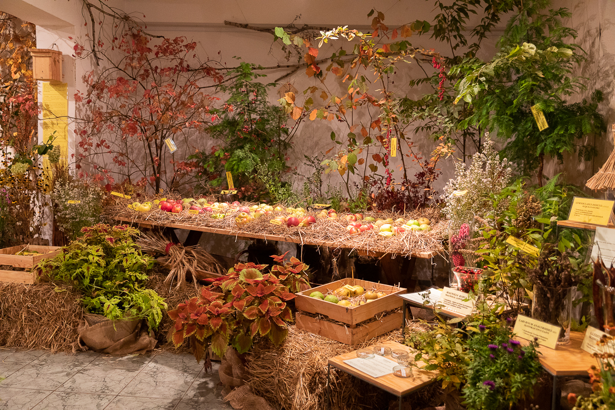 Do niedzieli 10 października w łódzkim Ogrodzie Botanicznym można oglądać wystawę "Owoce, warzywa, kwiaty"