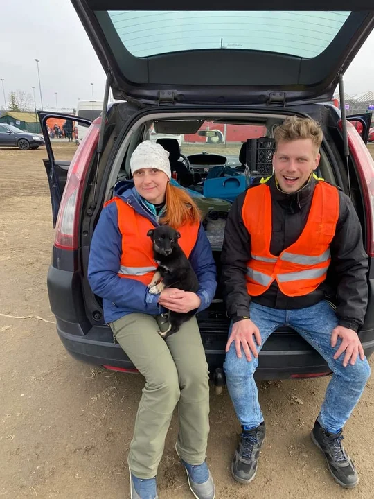 Lekarz weterynarii Joanna Kubus pomogła ponad setce zwierzaków z ogarniętej wojną Ukrainy