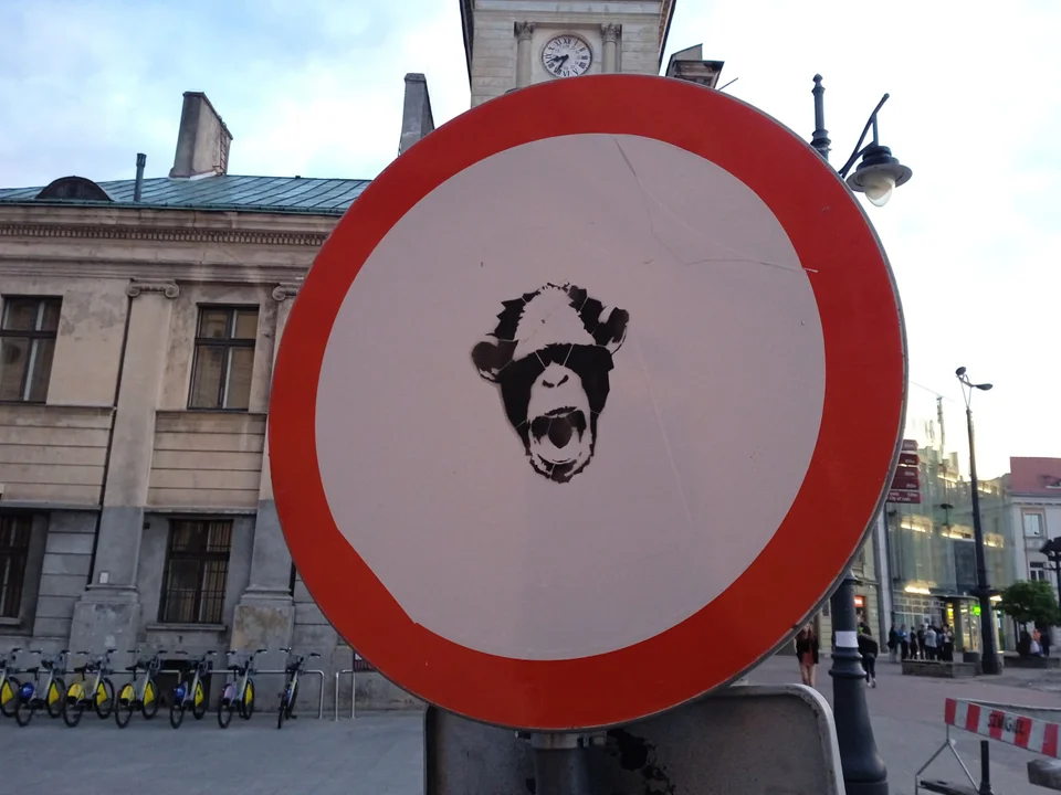 Nowy znak na łódzkich drogach? Kojarzycie go?! Oto „zakaz szympansowania” - Zdjęcie główne