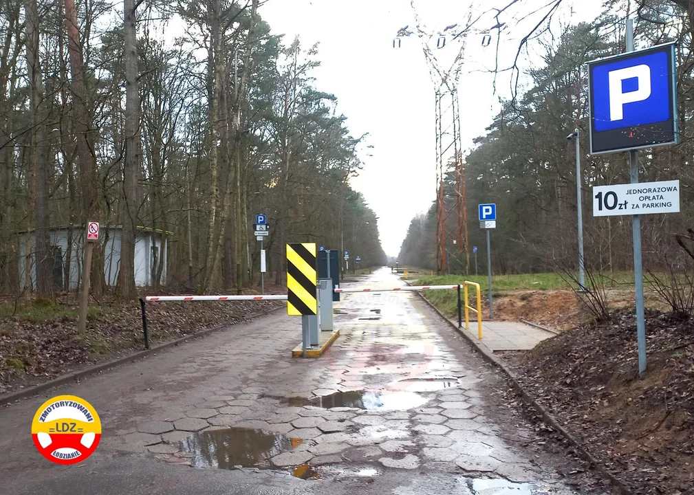 Parking leśny w Arturówku jest już płatny. Ile trzeba zapłacić? Sprawdź! - Zdjęcie główne