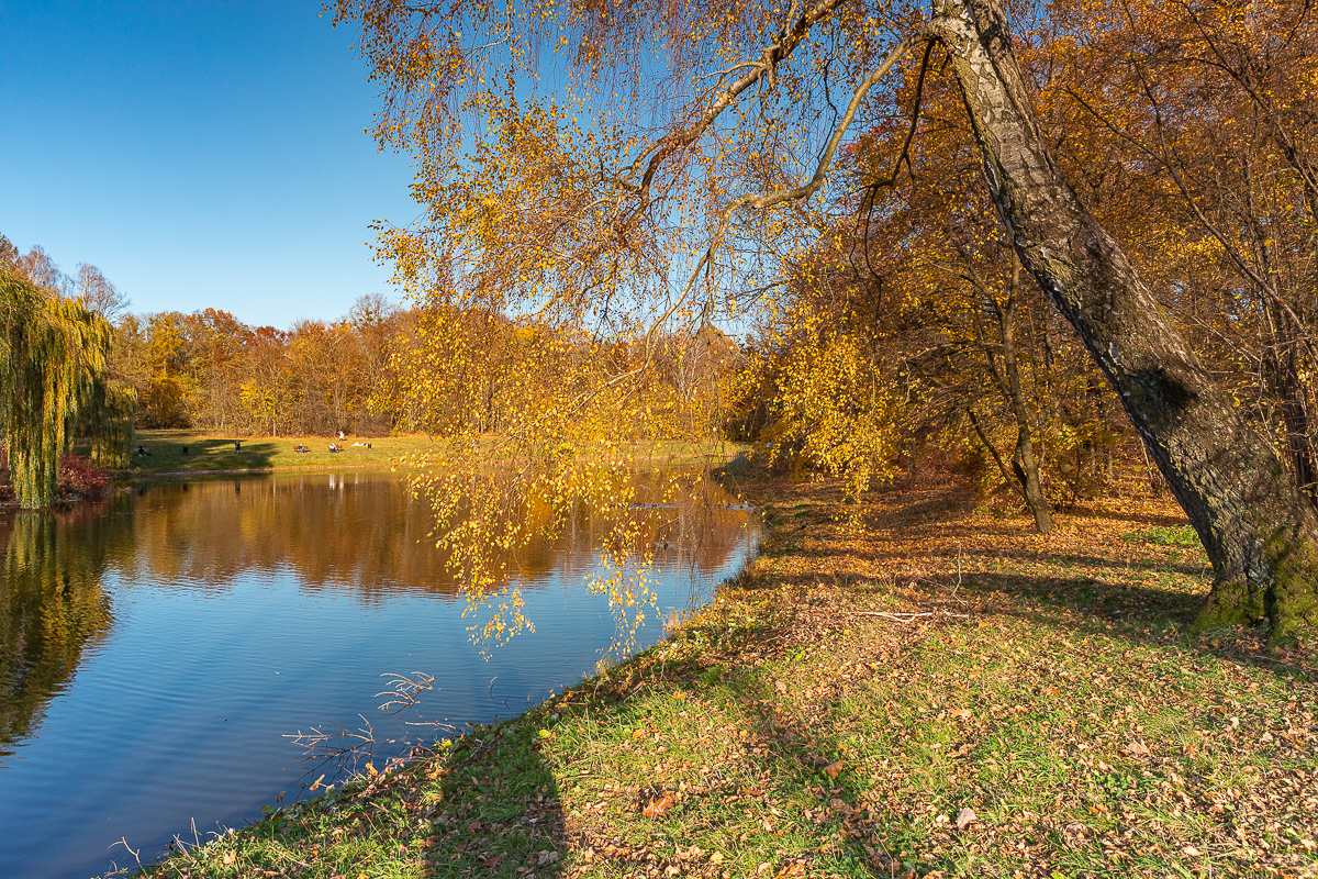 Łódzki park na Zdrowiu zachwyca jesienią