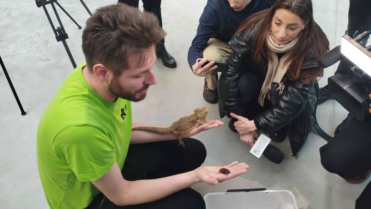 Orientarium Zoo Łódź zatrudnia. Zobaczcie, co przyszłemu pracownikowi oferuje łódzka spółka - Zdjęcie główne