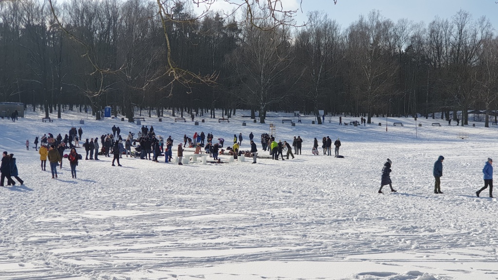 Łódź. Morsowanie w Arturówku w walentynkową niedzielę 14 lutego (fot. Bartosz Jankowski - TuŁódź.pl)