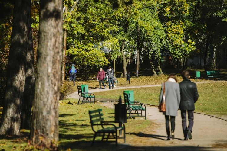 Miasto z domieszką zieleni. Łódź na wysokiej pozycji w zestawieniu GUS  - Zdjęcie główne