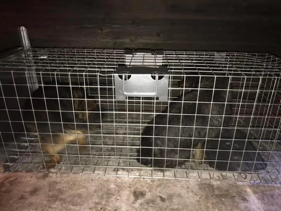 Interwencja na miejscu zdarzenia