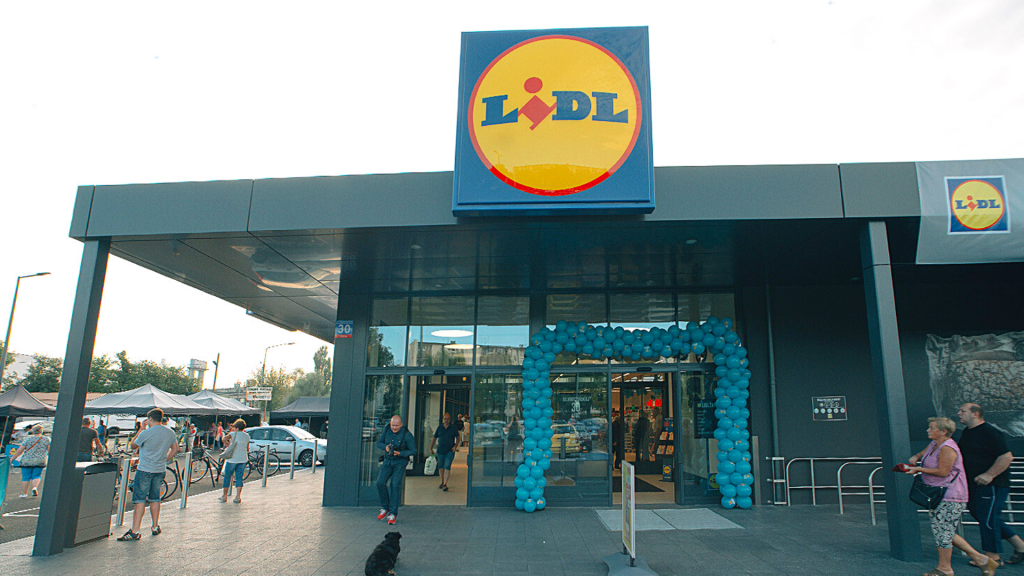 Lidl Łódź. Dlaczego wycięto prawie 100-letnie drzewo na Polesiu pod budowę nowego Lidla w Łodzi? Mamy obszerne wyjaśnienia sieci handlowej! - Zdjęcie główne