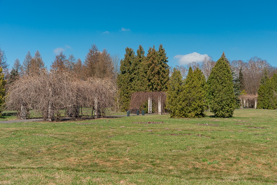 Ogród Botaniczny w Łodzi znowu otwarty  (fot. Michał Pietrzak - TuLodz.pl) |wiadomości łódzkie|łódź|TuŁódź