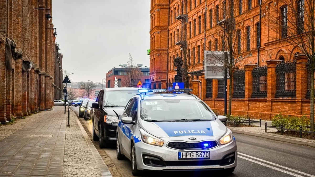 Akcja policji i straży granicznej na Polesiu. W miejscu, gdzie miało być stowarzyszenie, odkryli nielegalne hostel i warsztat - Zdjęcie główne