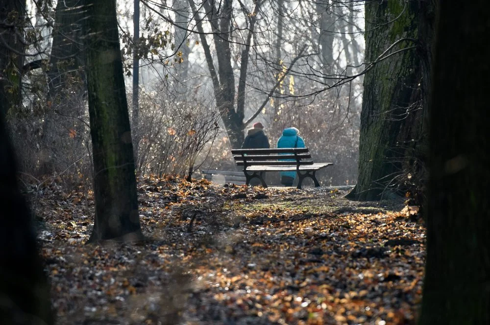 Rekordowy Sylwester i Nowy Rok, również w Łodzi - Zdjęcie główne