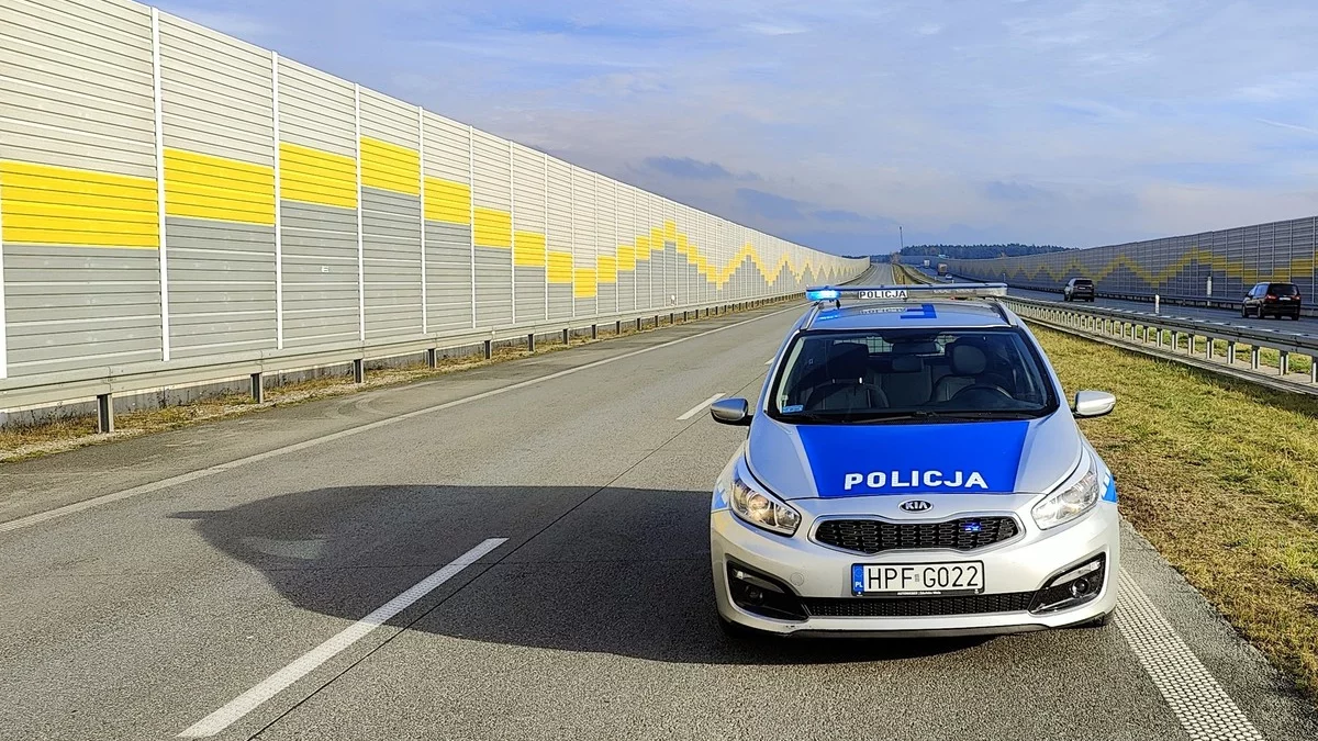 Samochód stał na światłach awaryjnych. Policjanci nie mogli uwierzyć własnym oczom! - Zdjęcie główne