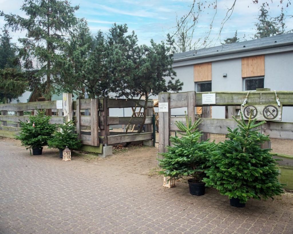 Świąteczny spacer po łódzkim Zoo? Ogród zoologiczny otwarty dla zwiedzających! (fot. mat. prasowe) |wiadomości łódzkie|Łódź|TuŁódź