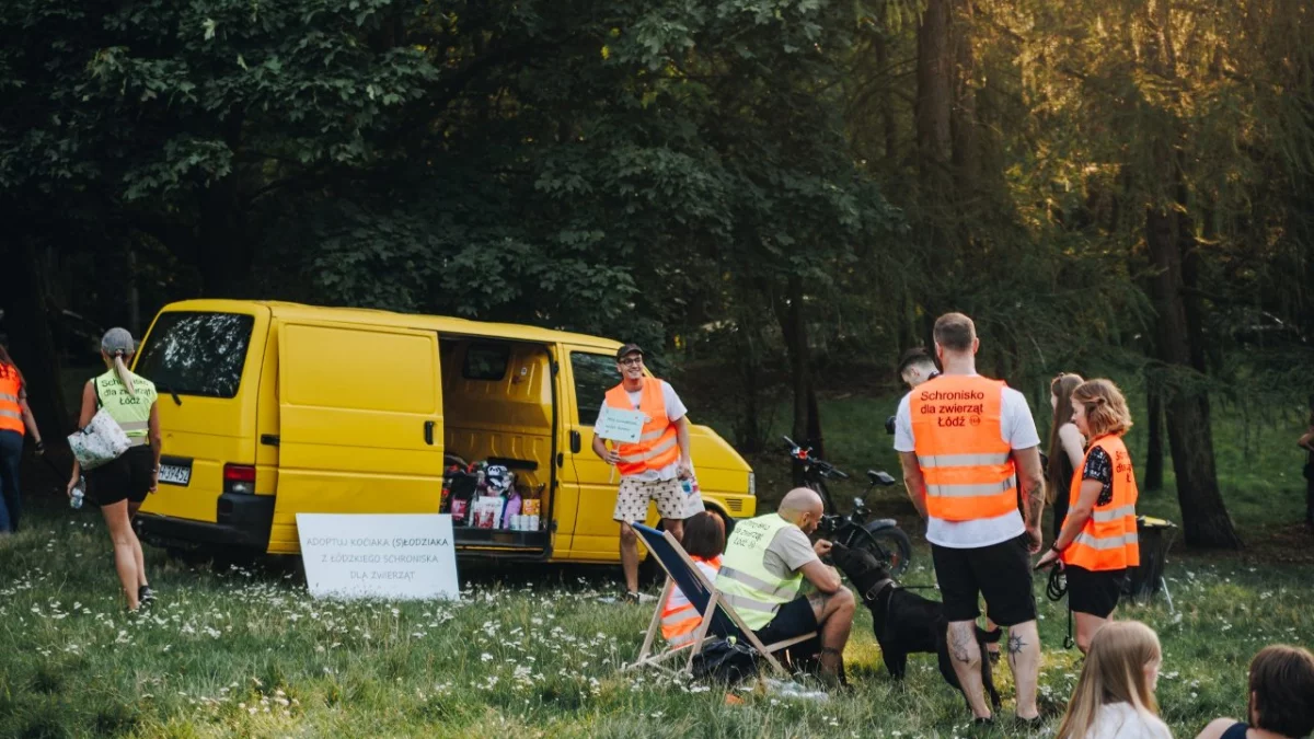 Rok 2024 był przełomowym dla łódzkiego schroniska. To między innymi setki adopcji, większe grono opiekunów i początek remontu - Zdjęcie główne