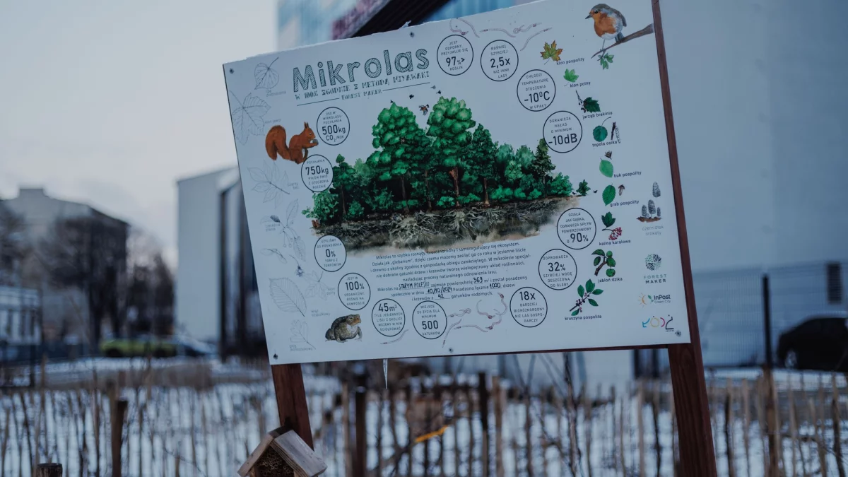 Zieleń na Starym Polesiu nie istnieje, mimo że posadzono tu mikrolas - Zdjęcie główne