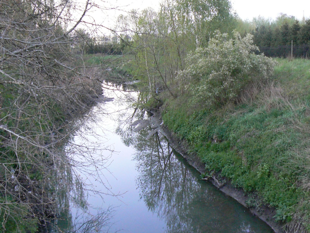 Rzeka Jasień w Łodzi (fot. Google Maps) |wiadomości łódzkie|Łódź|TuŁódź