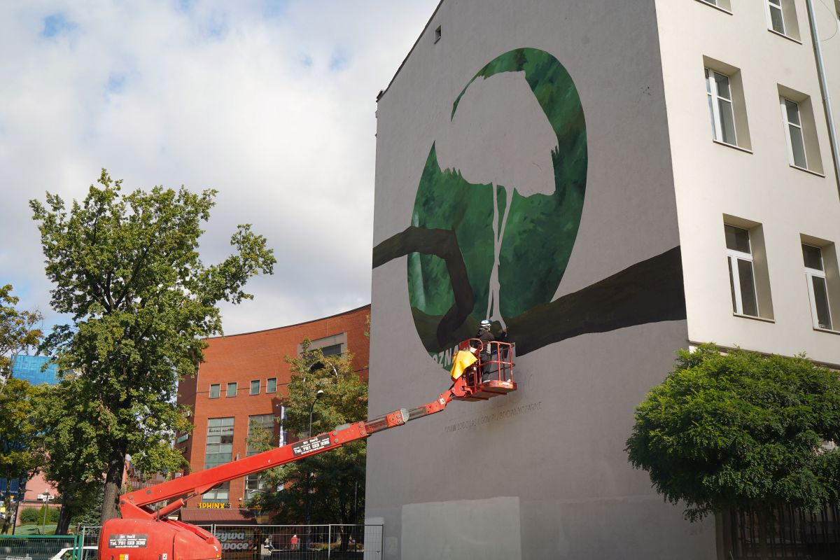 Tak wygląda mural przy ul. Orlej w Łodzi z bocianem czarnym w roli głównej. Wykonał go Maciej Bielewicz