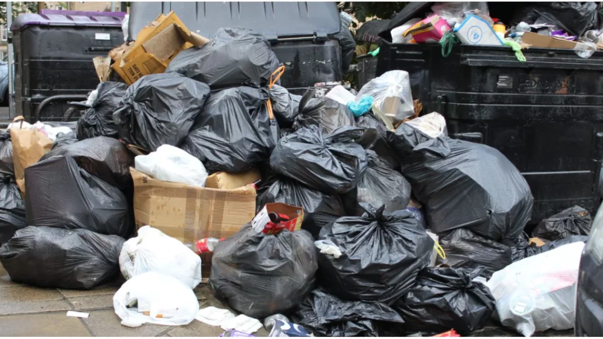 Rewolucja w śmieciach od 1 kwietnia. Mieszkańcy już składają petycje