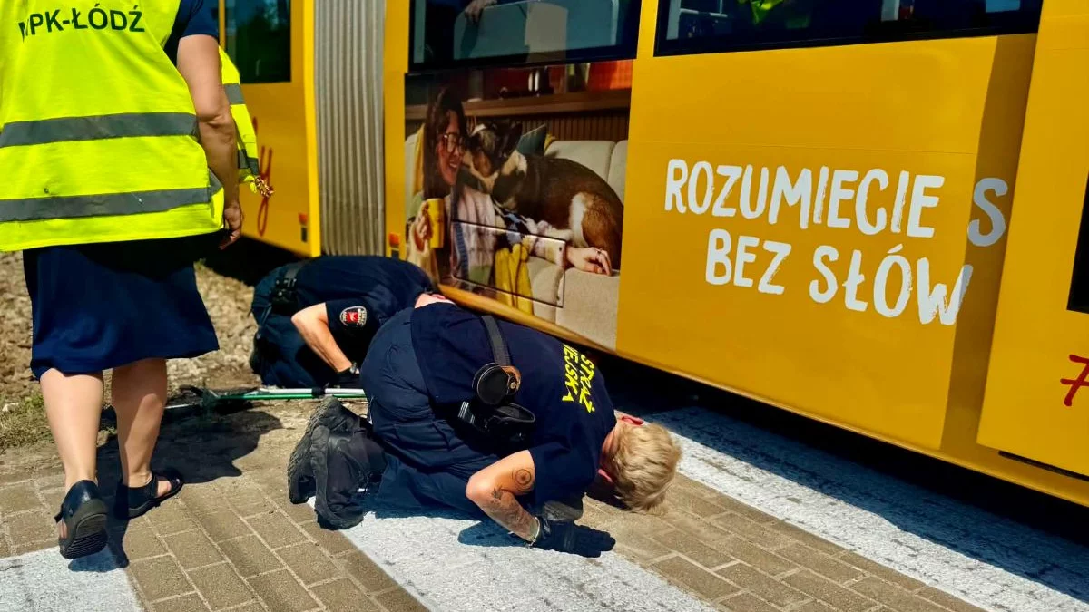Niecodzienna akcja w łódzkim MPK. Mały kotek zatrzymał tramwaje i podbił serca pasażerów