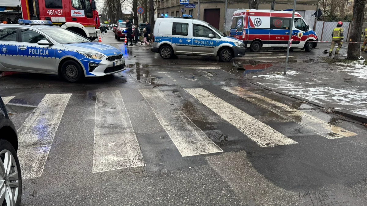 Poważny wypadek w Łódzkiem, jedna z pasażerek wypadła z auta. Łącznie sześć osób trafiło do szpitala - Zdjęcie główne