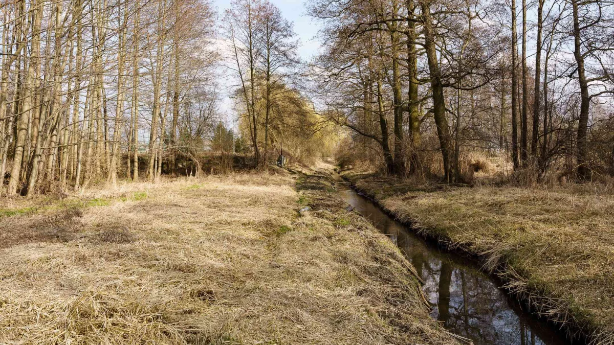 Pod Łodzią jak nad Wisłą. Wystarczy 20 minut jazdy! [FOTO]