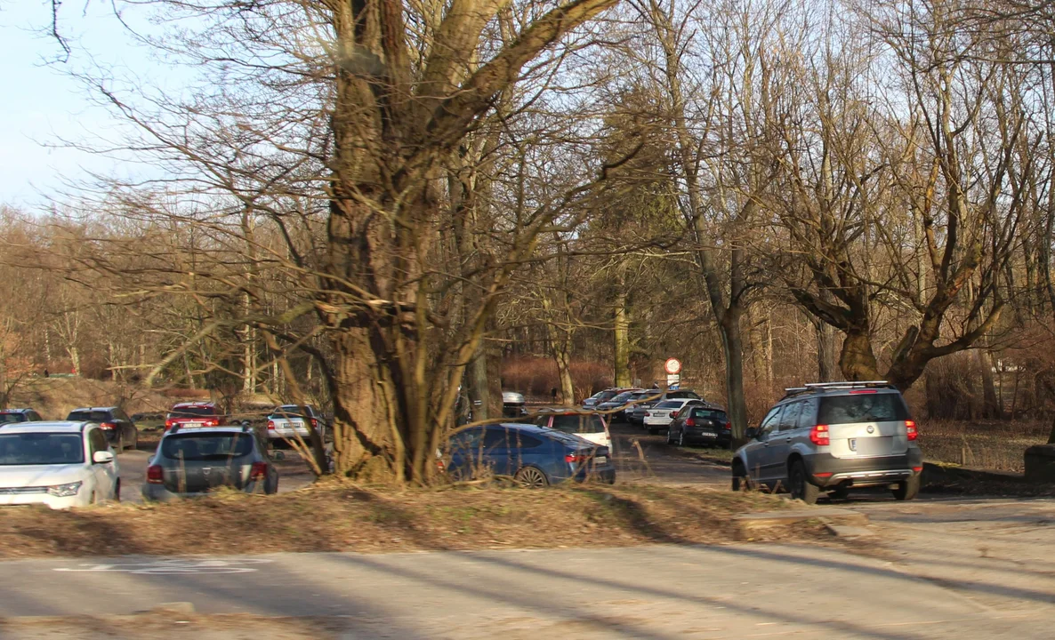 Spidersweb o komentarzu TuŁódź.pl. Parkowanie w łódzkich parkach słynne na całą Polskę - Zdjęcie główne