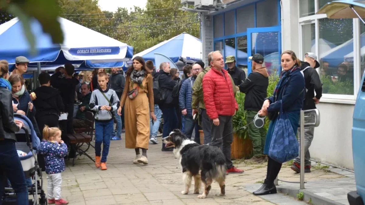 Piwowary, Halloween, koncerty, targi i ekstremalne biegi – sprawdźcie, co robić w ostatni weekend października w Łodzi i okolicach [HARMONOGRAM] - Zdjęcie główne