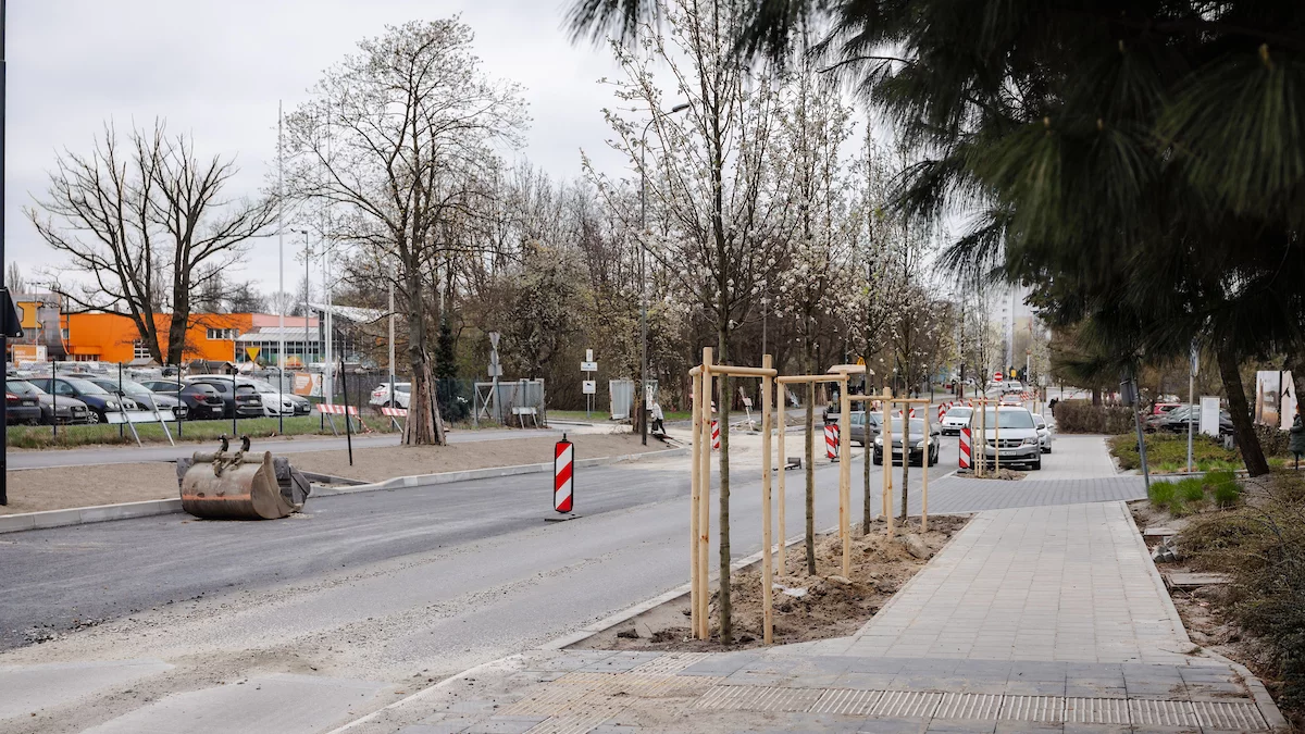Ważna inwestycja na Teofilowie na finiszu. Nowa droga i setki posadzonych drzew