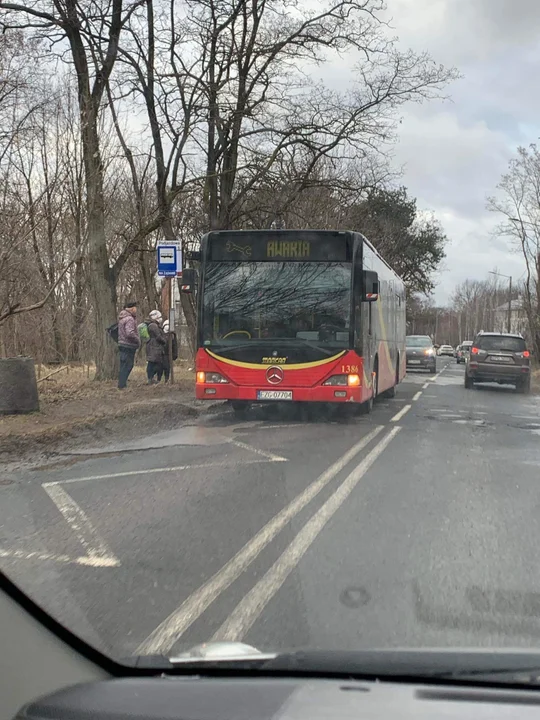 Na zdjęciach zgierzanie odmienili miejskie autobusy przez wszystkie rodzaje: zespute, holowane, brudne, palące się, bez świateł a nawet bez gaśnic i siedzeń, itp.