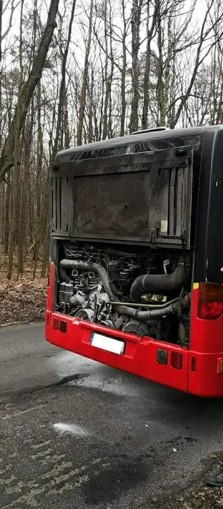 Na zdjęciach zgierzanie odmienili miejskie autobusy przez wszystkie rodzaje: zespute, holowane, brudne, palące się, bez świateł a nawet bez gaśnic i siedzeń, itp.