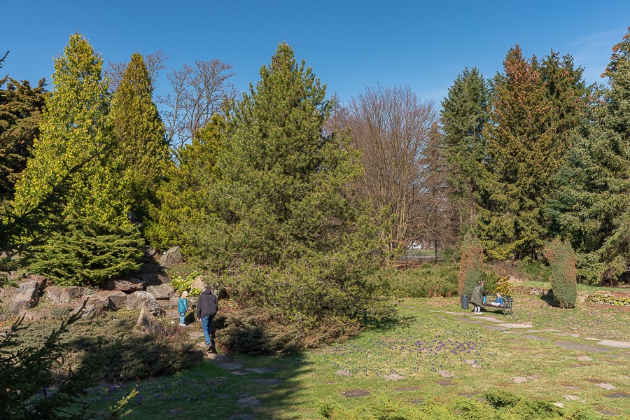 Ogród Botaniczny w Łodzi znowu otwarty  (fot. Michał Pietrzak - TuLodz.pl) |wiadomości łódzkie|łódź|TuŁódź