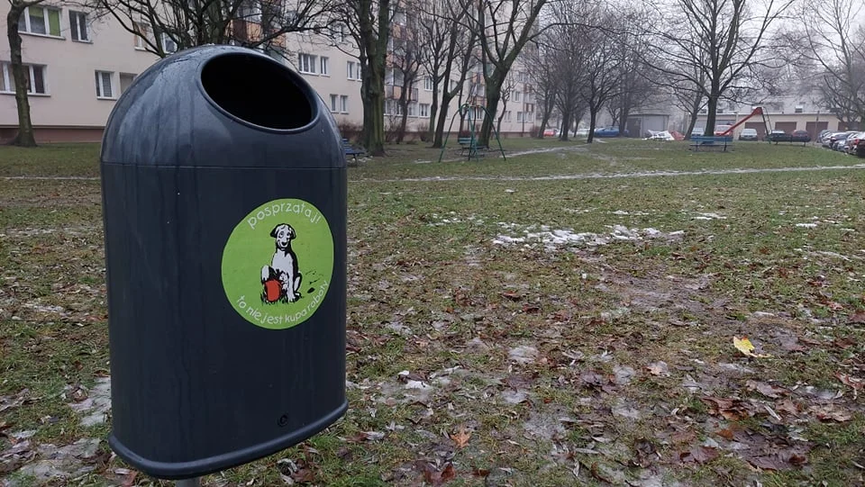 Jak łodzianie wywiązują się z obowiązku sprzątania po swoim psie? Do ideału nam daleko