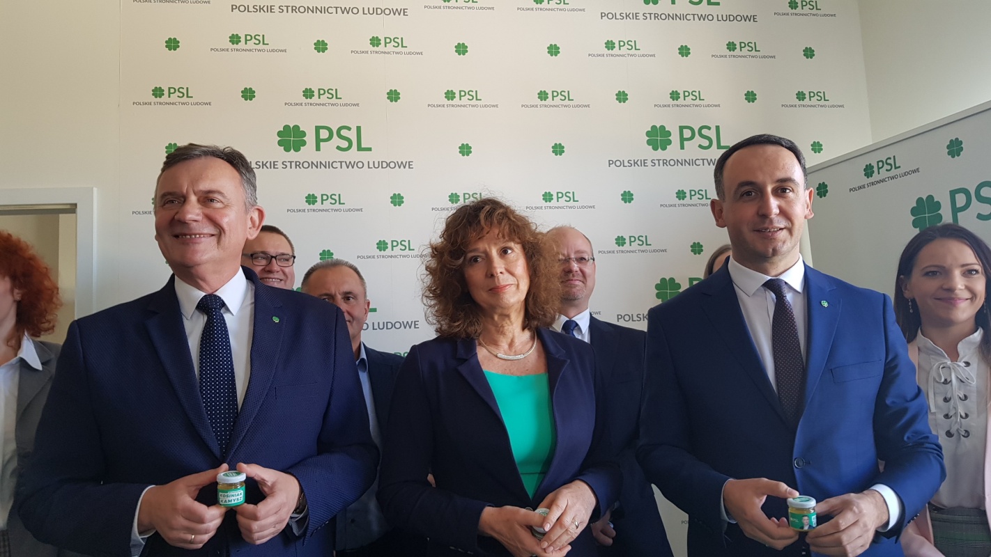 PSL: Zrobiliśmy duży krok do przodu. Podsumowanie kampani do parlamentu  - Zdjęcie główne