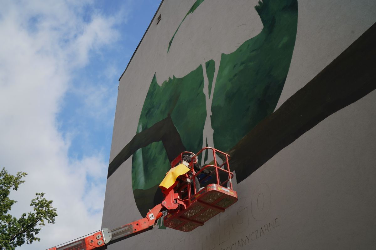 Tak wygląda mural przy ul. Orlej w Łodzi z bocianem czarnym w roli głównej. Wykonał go Maciej Bielewicz