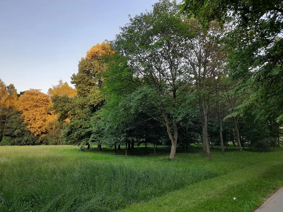 Park Widzewski w Łodzi. KLIKNIJ NA NASTĘPNE ZDJĘCIE
