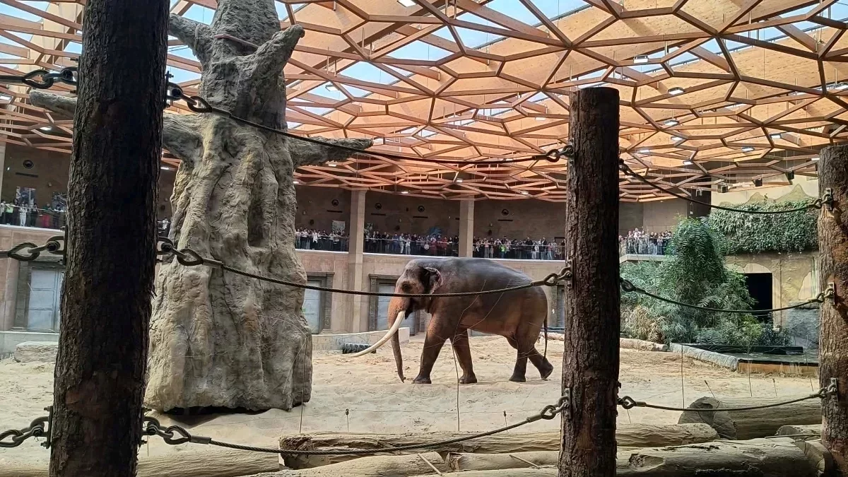 Darmowe wejście do Orientarium ZOO Łódź i Aquaparku Fala w trakcie wakacji. Kto może skorzystać z oferty?