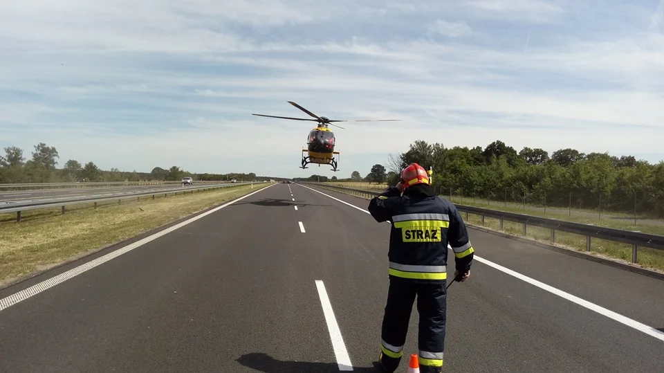 Wypadek na autostradzie A1. Bus zderzył się z ciężarówką. Są ranni - Zdjęcie główne